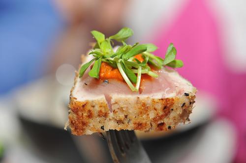 Free albacore recipes