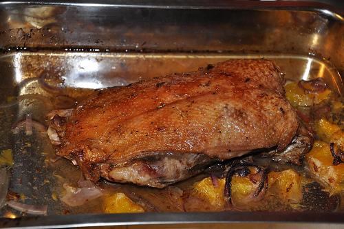 Recipe goose brest