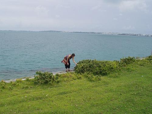 Raspberry rum recipes