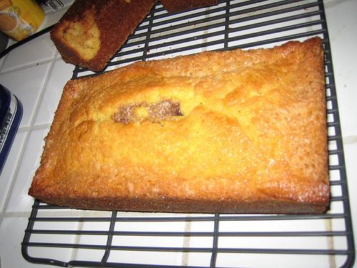Bread starter recipes