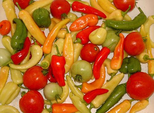 Canned hot salsa recipes