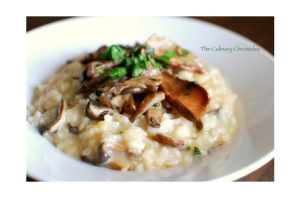 Mushroom risotto